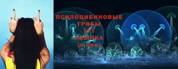 прущие крисы Аркадак
